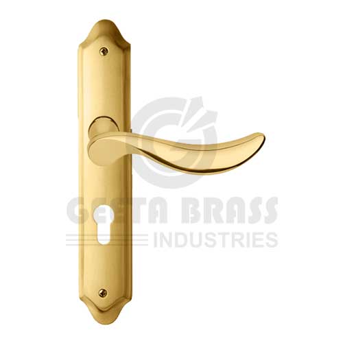 Brass Handle with Plate